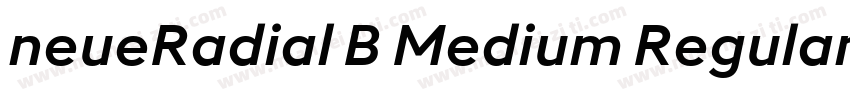 neueRadial B Medium Regular字体转换